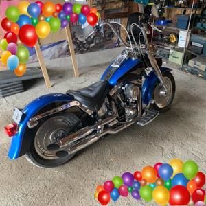 Meet your Posher, Patrick